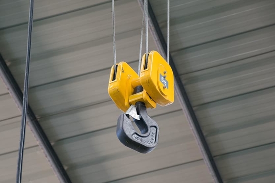 Dever de Crane Forging Hook Block Heavy de 30 toneladas